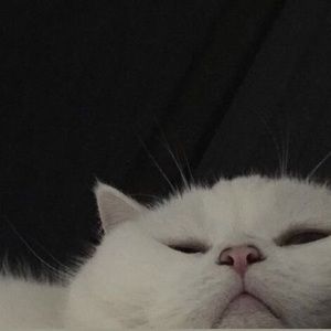 Meet your Posher, Sky